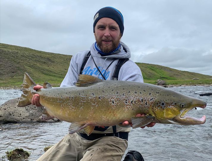 Stórlax sem veiddist nýlega í Miðfjarðará