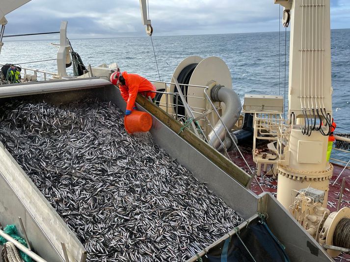 Loðnuveiðar með Beiti NK árið 2021. Myndin er úr safni.