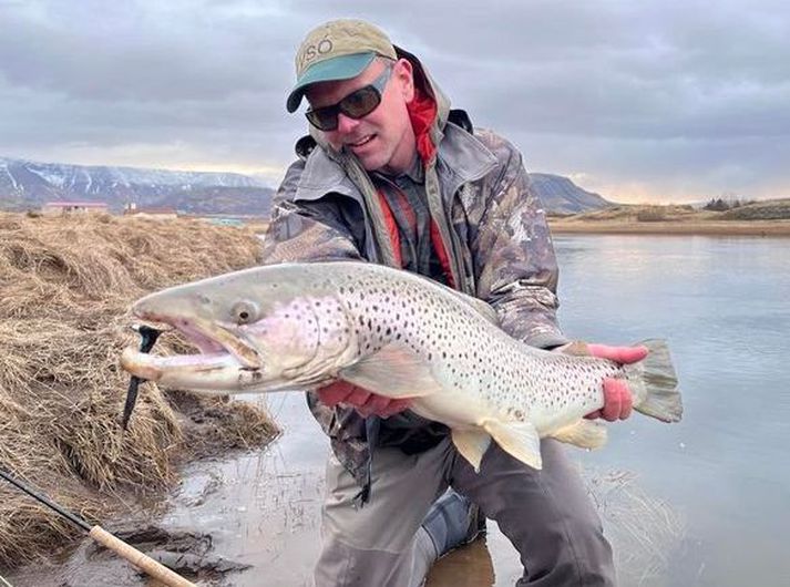 Þessi veiddist í Laxá í Kjós í gær. Frábær skilyrði eru til veiða í ánni.