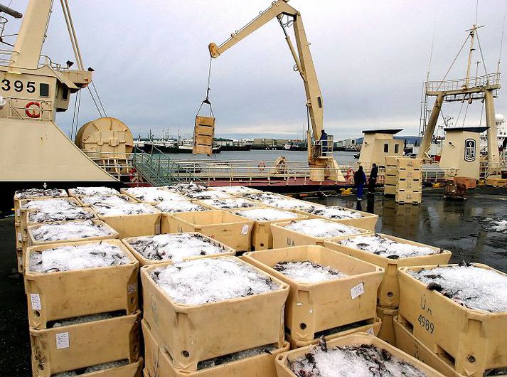 Fiskveiðar Frumvarp sjávarútvegsráðherra um breytingu á lögum um stjórn fiskveiða er nú hjá sjávarútvegs- og landbúnaðarnefnd, en stefnt er að því að það verði að lögum á haustþingi.Fréttablaðið/GVA