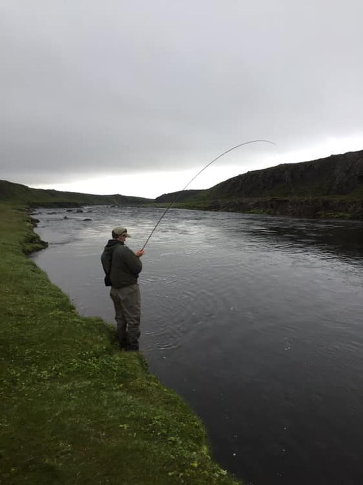 Hafralónsá hefur gefið 86 laxa í sumar.