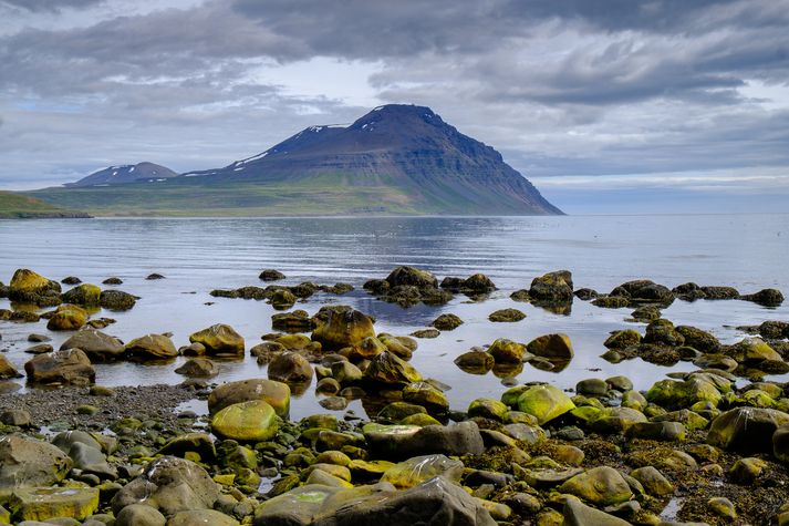Gunnólfsvíkurfjall í Finnafirði