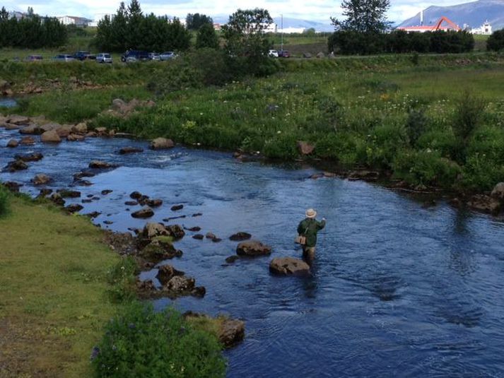 Nokkuð af leyfum eru á lausu hjá SVFR í Elliðaárnar fyrir komandi sumar. Hér er kastað fyrir lax á Breiðunni.