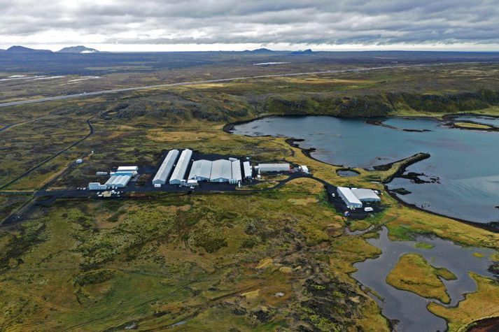 Dótturfélagið Benchmark Genetics Iceland er með umfangsmikla starfsemi hér á landi, meðal annars eldisstöð í Vogavík í Vogum á Reykjanesi.