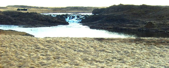 Veiðin í Langá í sumar hefur ekki staðið undir væntingum enn sem komið er.