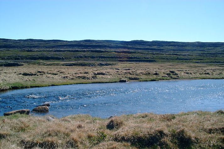 Í Laugardalsá. Veiðin í ár var með dræmasta móti, 159 laxar komu að landi.