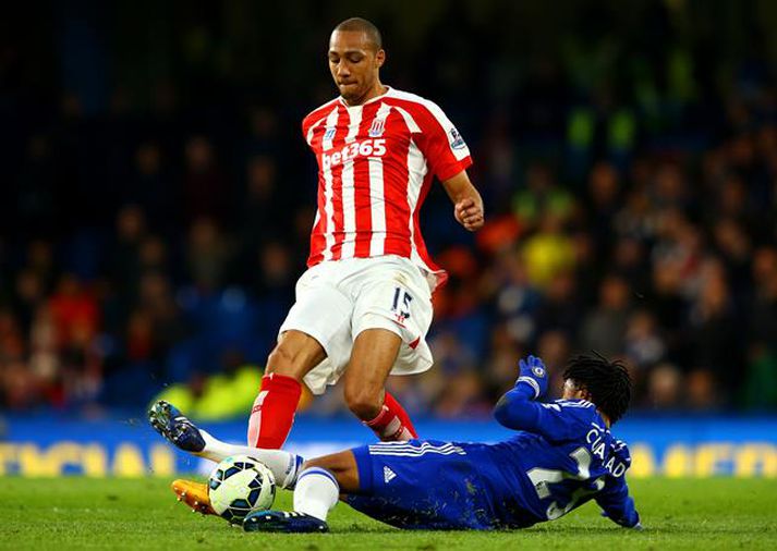 N'Zonzi lék alla deildarleiki Stoke á síðasta tímabili.