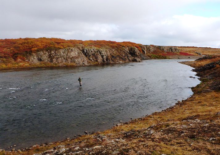 Veitt í Neðri-Hvítsstaðahyl í Langá.