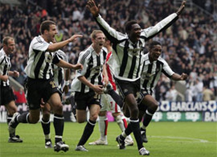 Shola Ameobi