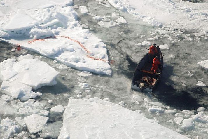 Bann ESB við innflutningi beinist gegn veiðiaðferðum Kanadamanna. nordicphotos/afp