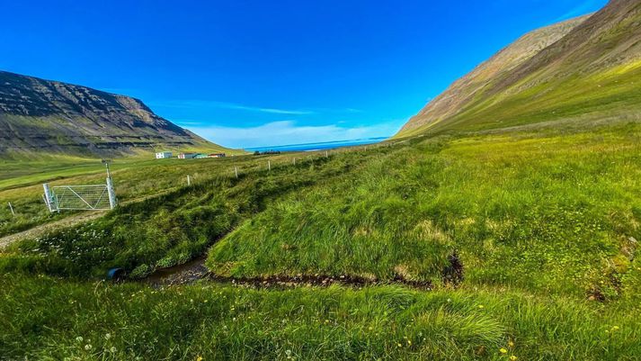 Framræst mýri á Brekku á Ingjaldssandi áður en ráðist var þar í endurheimt votlendis.