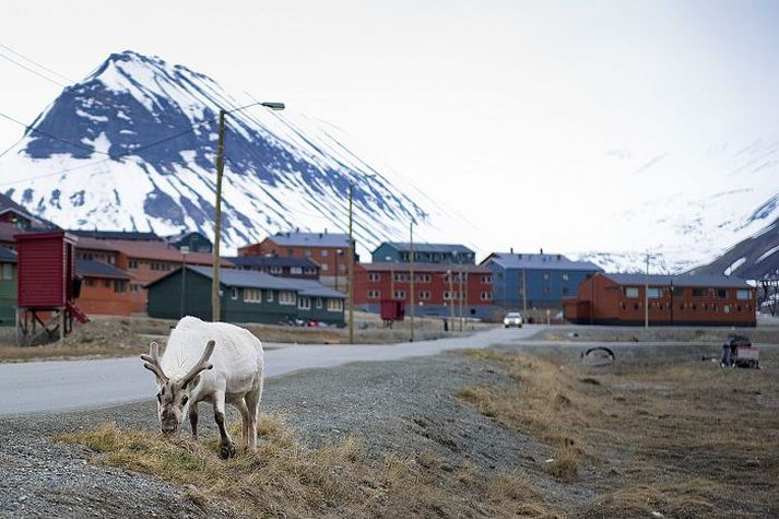 Frá Longyearbyen, stærsta bæ Svalbarða.