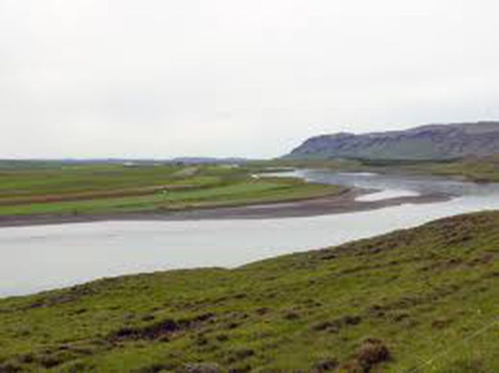 Það leynist víða fiskur í Hvítá í Árnessýslu