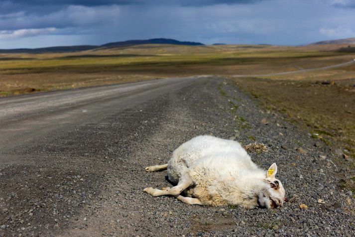 Lögregla segir ferðamenn flesta til fyrirmyndar.