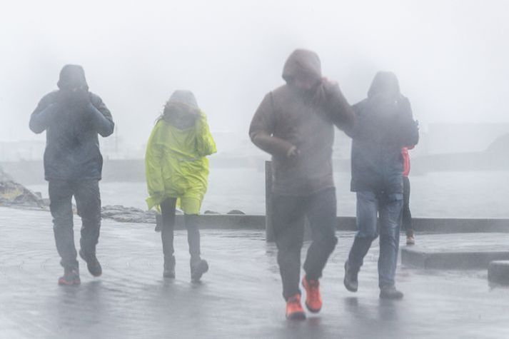 Síðdegis nálgast skil úr suðri og mun snúast í vaxandi austan- og norðaustanátt.