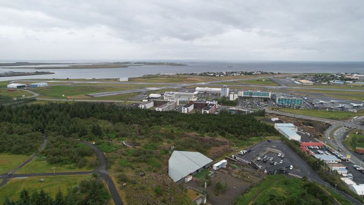 Búið er að fella ásættanlegan fjölda trjáa og flugbrautin verður opnuð á ný á morgun.