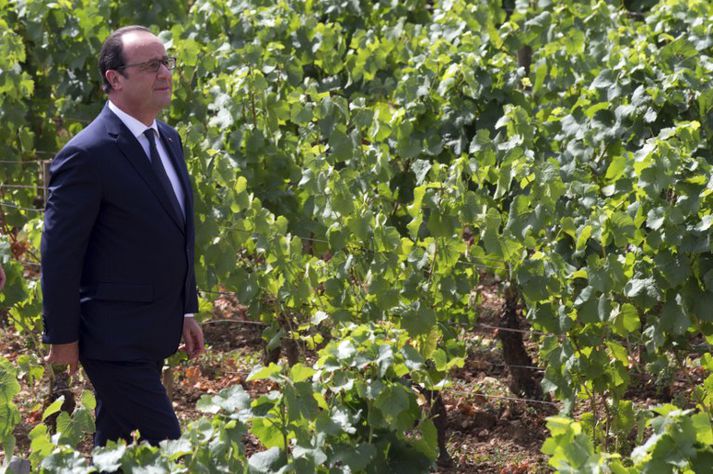 Francois Hollande er líkt og flestir Frakkar, hrifinn af góðu rauðvíni.