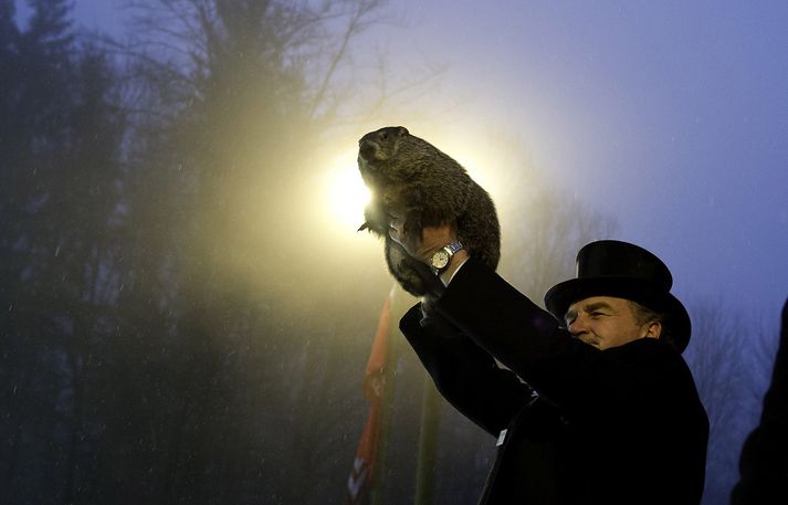 Punxsutawney Phil í höndum borgarstjóra Punxsutawney árið 2014.