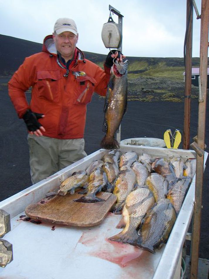 Við aðgerðakar í Veiðivötnum. Eins og sést eru þetta boltafiskar sem fást þar.