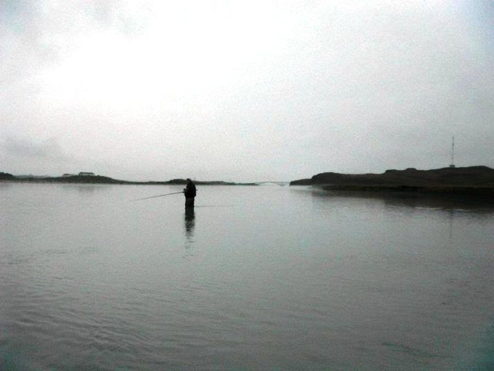 Veitt á Ferjukotseyrum, gengt Hvítárvöllum. Gamla Hvítárbrúin sést hér í fjarska.