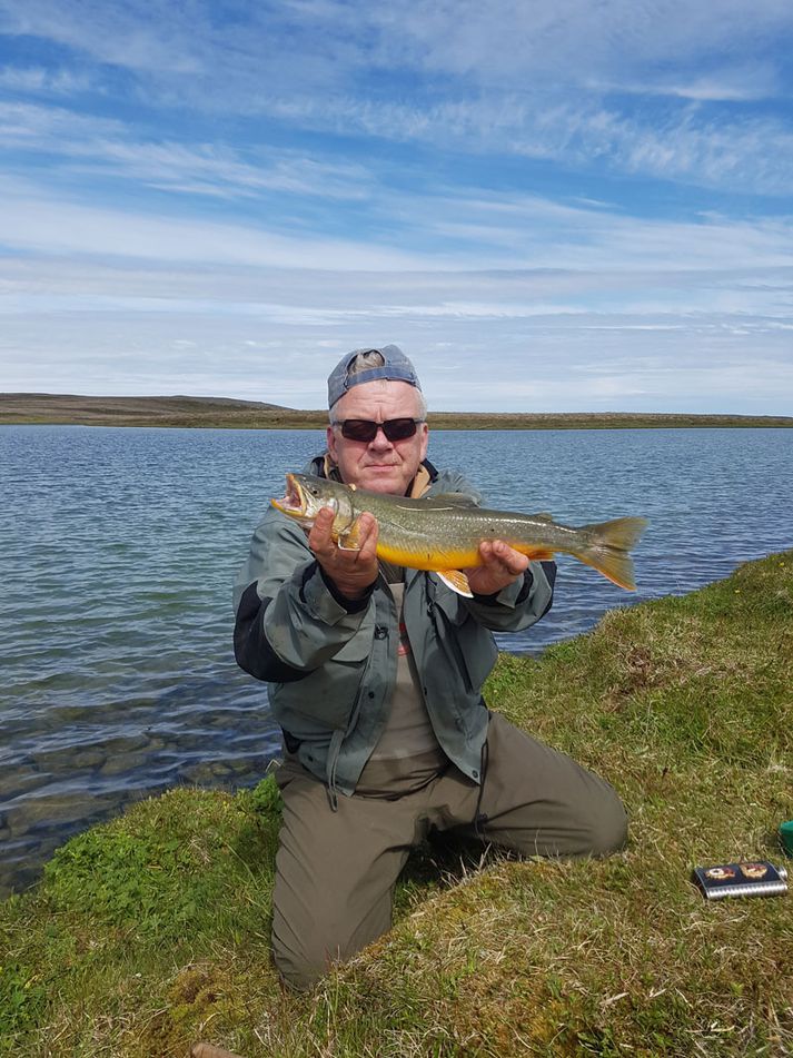 Myndarleg bleikja af Skagaheiði