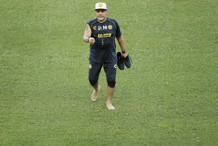 Diego Maradona slakur á æfingu með Dorados de Sinaloa.