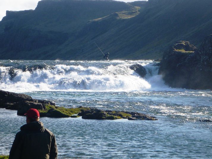 Kynning á óseldum veiðileyfum í Norðurá stendur fyrir dyrum hjá SVFR ...