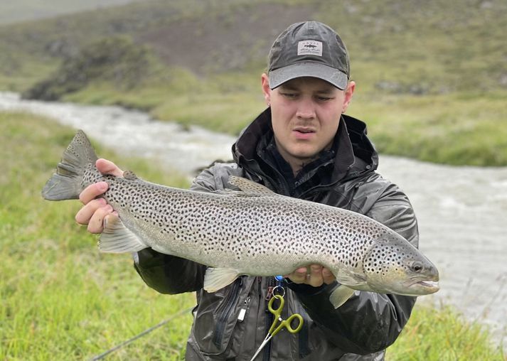 Flottur birtingur úr Varmá