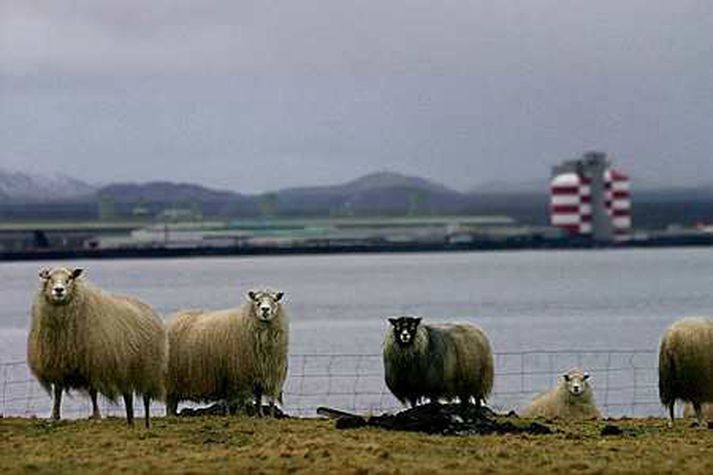 Álverið í Straumsvík verður ekki stækkað meira.