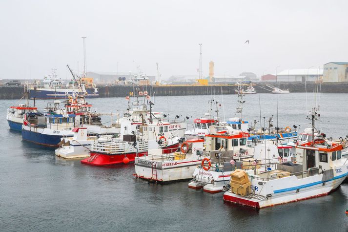 Ný ríkisstjórn hefur boðað rýmkaðar heimildir til strandveiða þótt ekki liggi enn fyrir nákvæmlega hvernig það verður útfært.