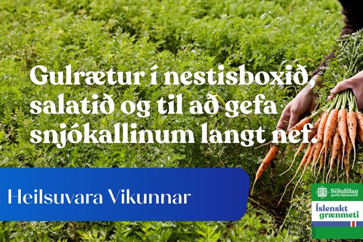 Hvað eiga kanínur eða snjó­karlar sam­eigin­legt?