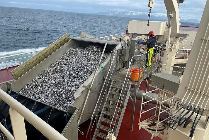 Fiskistofa notar reglulega dróna til að fylgjast með sjófarendum. Það má núna en mátti ekki fyrir lagabreytingu. Myndin tengist fréttinni ekki beint.