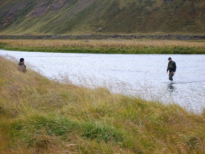 Laxá í Laxárdal þykir henta einstaklega vel til þurrfluguveiða.