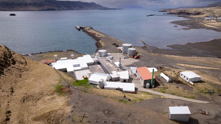 Horft yfr botn Hvalfjarðar frá hvalstöðinni. Efst til hægri sést bryggjan við dreifingarstöð Olíudreifingar þaðan sem Röst hyggst gera rannsókn sína með basalausn í sumar. Hvalur hf. hefur mótmælt tilrauninni harðlega.