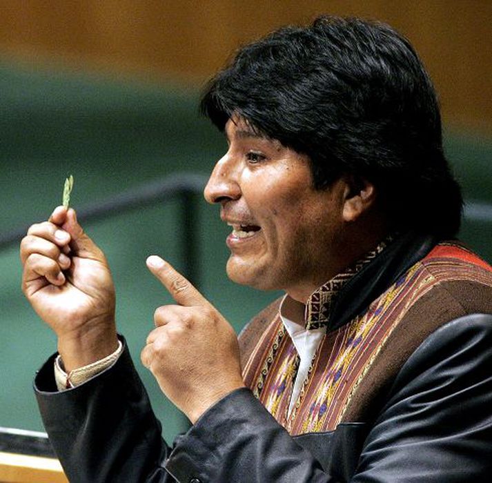 Evo Morales Forsetinn útlistaði kosti kókalaufa fyrir allsherjarþinginu.