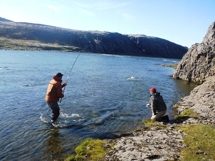 Í Norðurá. Veiði í Norðurá fór vel af stað en síðustu vikur hefur heldur dregið úr henni vegna veðurblíðunnar. Laxinn bíður við Ármótin þar til áin kólnar.