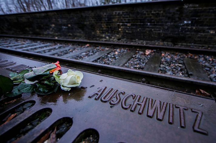 Þýskur dómstóll dæmdi Oskar Gröning, bókara sem starfaði í Auschwitz, í fjögurra ára fangelsi í sumar fyrir aðild sína að aftökum á gyðingum í seinni heimsstyrjöldinni.