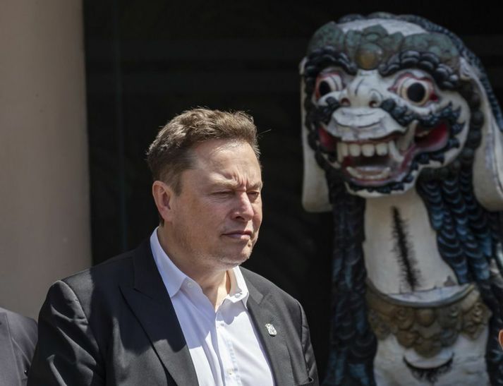 Elon Musk hefur lýst yfir stuðningi við Donald Trump.