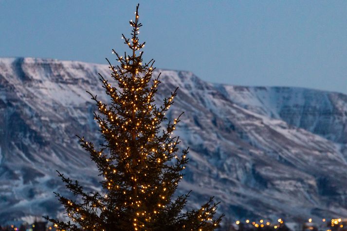 Það stefnir allt í fallegan jóladag.