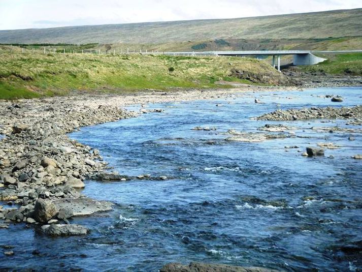 Sjávarfljót í Laxá í Dölum, neðan Matarpolls. Áin verður opnuð 28. júní en langt er síðan sást til laxa í ánni.