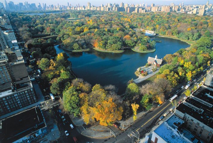 Borgarstjórinn vill að rafbílar ferji ferðamenn við Central Park.