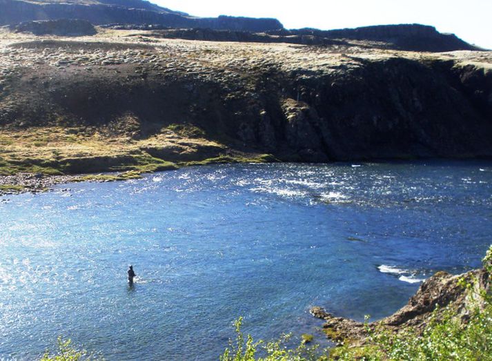 Veitt í Norðurá.