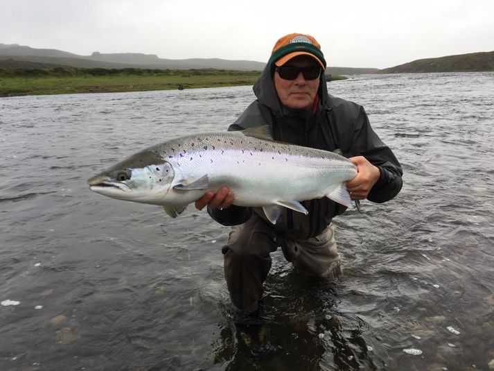 Þessum flotta laxi var landað og sleppt í vikunni í Víðidalsá.