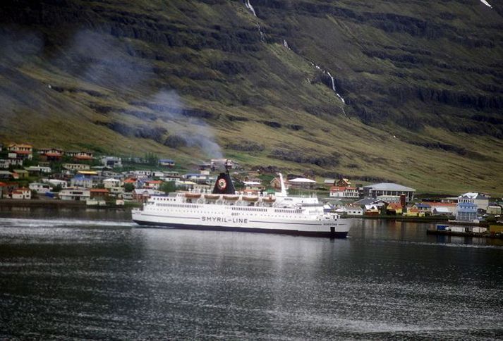 Seyðisfjörður. Treglega hefur gengið að fá fjárfesta að álkaplaverksmiðju á Seyðisfirði.