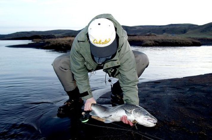 Á óvart kom hversu vel sjóbirtingurinn stóð af sér þessar hamfarir. Var á það minnst að mögulega væri íslenski birtingurinn búinn að aðlagast atburðum sem þessum og gæti þess vegna staðið það af sér þegar telja mætti að allt kvikt myndi drepast.