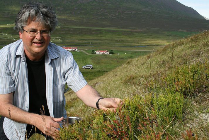 Sveinn Rúnar Hauksson, læknir og berjasérfræðingur, segir árið 2016 einstakt til berjatínslu.