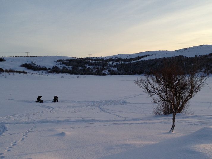 Veiðimenn ísdorga í við Reynisvatn í dag