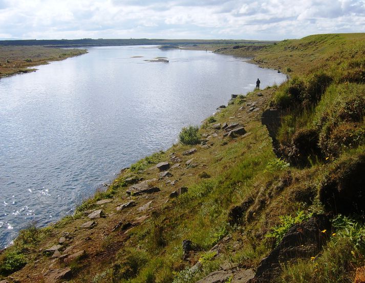 Neðra horn og Klöppin eru gjöfulir veiðistaðir neðan Ægissíðufoss í Ytri-Rangá.