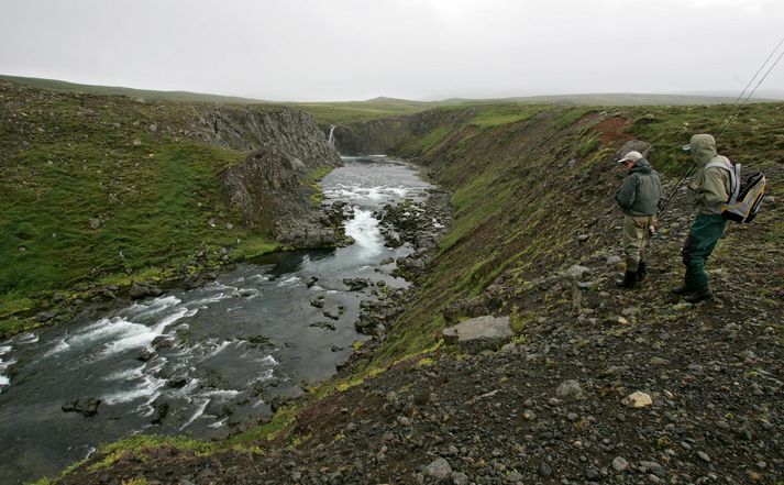 Síðasta holl í Svalbarðsá var með 30 laxa á tvær stangir