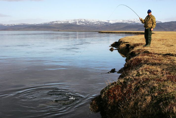 Þetta er það sem veiðimenn eru vaniari í vorveiði en ekki ísilagðri á. Mynd frá Vatnamótum.